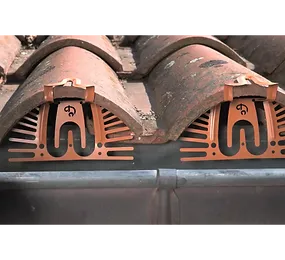 grille anti oiseaux au pilat bassin d'arcachon